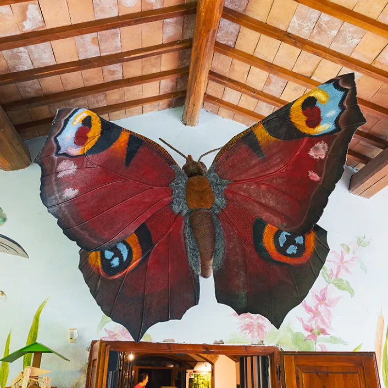 Museo del Fiore