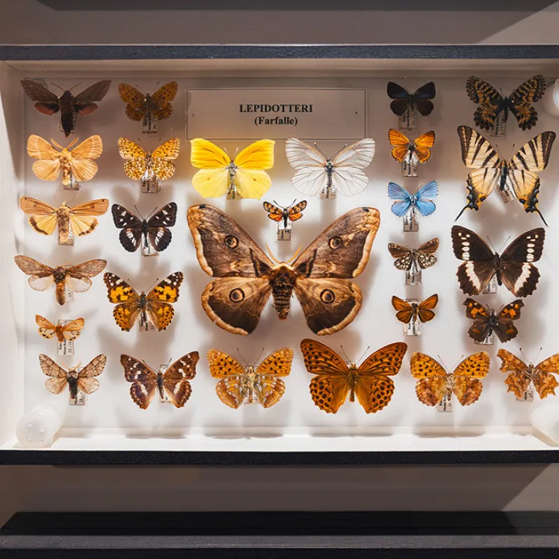 Museo del Fiore