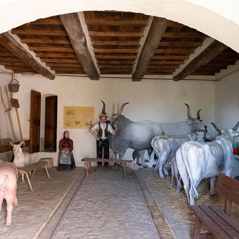 Il Felceto - Casa delle tradizioni contadine