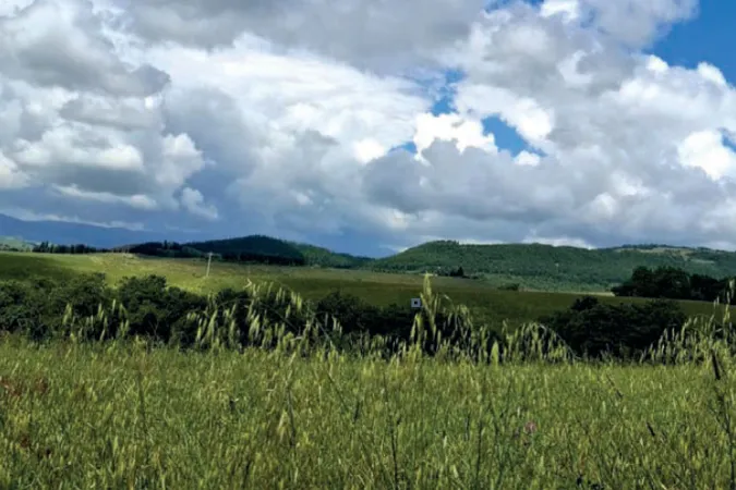 Manuale operativo QGIS per la lettura del paesaggio rurale e forestale