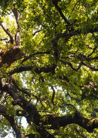 Tre giorni di natura e gusto con la Scarpinata 2025